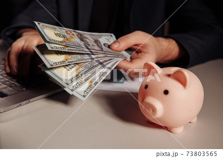 Man with dollar banknotes in his hand working using laptop, pink piggy bank with coins next him. Investment and business concept 73803565