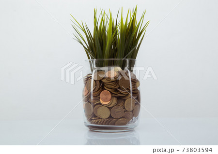 Grass growing out of coins in bank. Money and savings concept Grass growing out of coins in bank. Money and savings concept 73803594