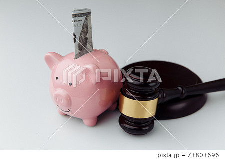 Judge gavel and pink piggy bank with dollar bill on a white desk. Loan and finance concept Judge gavel and pink piggy bank with dollar bill on a white desk. Loan and finance concept 73803696