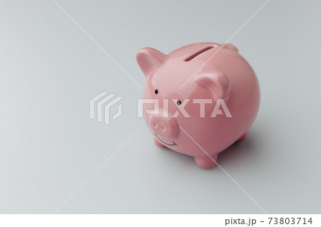 Piggy bank on a white background. Finance, saving money concept 73803714