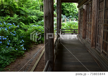 紫陽花寺の縁 紫陽花寺の縁 73803844
