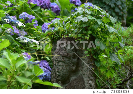 紫陽花と一体化している石像 73803853