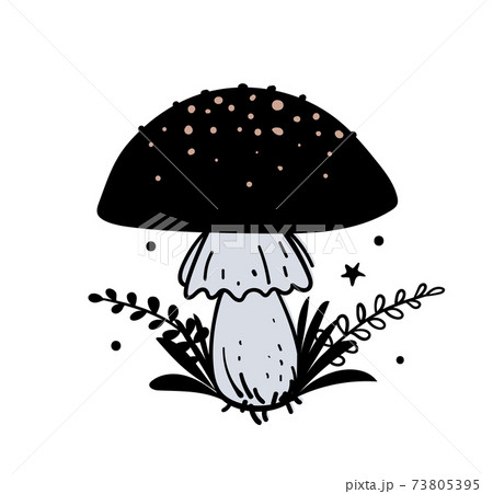 Amanita, magic black mushroom with plant branches, boho hand drawn illustration, magic witch tattoo. Vector doodle illustration isolated on white background. 73805395