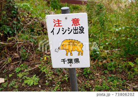 注意・イノシシ出没 注意・イノシシ出没 73806202