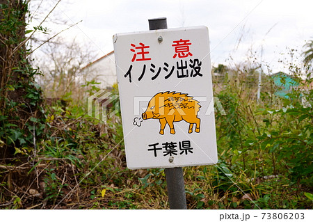 注意・イノシシ出没 73806203