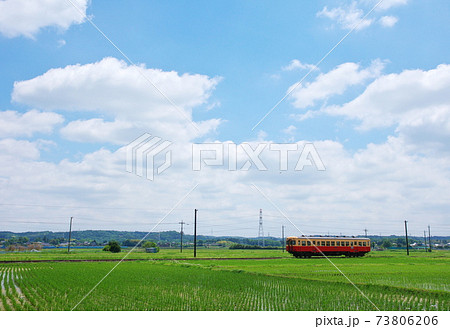 小湊鉄道（千葉県市原市上総三又駅付近） 73806206