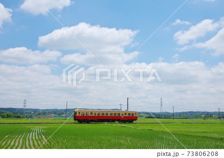 小湊鉄道（千葉県市原市上総三又駅付近） 73806208