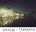 水辺の夜桜 73806454