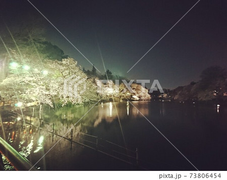 水辺の夜桜 73806454