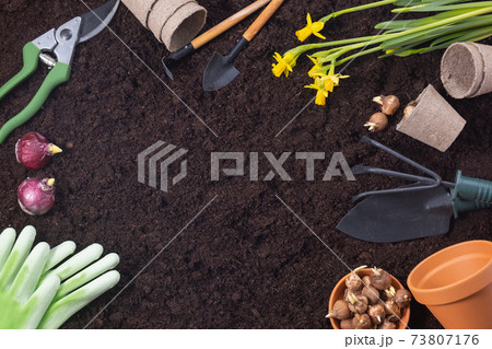 Planting spring flowers. Gardening tools with hyacinth and crocus bulbs on fertile soil background. Planting spring flowers. Gardening tools with hyacinth and crocus bulbs on fertile soil background. 73807176