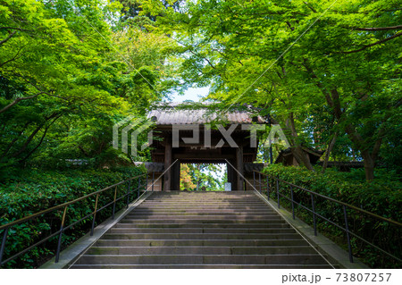 鎌倉 円覚寺の山門 73807257