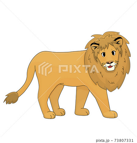 Orange Smiling Cute Lion Is Walking Isolated のイラスト素材