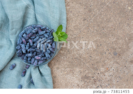 honeysuckle berries on a concrete background. honeysuckle berries on a concrete background. 73811455
