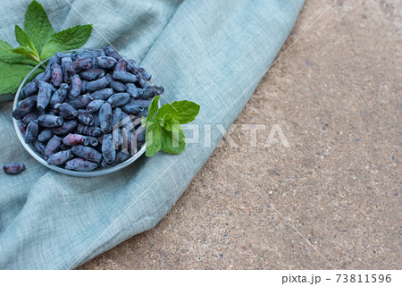 honeysuckle berries on a concrete background. 73811596