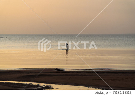 Russia. Leningrad region. A man with an oar swims standing on a board on the Gulf of Finland. 73811832