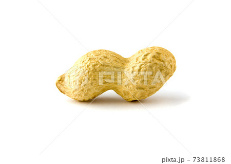 Fried peanuts in shell. Peanut in shell on white background. 73811868