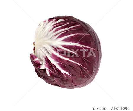 Radicchio isolated on white background. Fresh Radicchio salad closeup on a white background. 73813090
