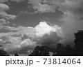 モノクロの風景 73814064
