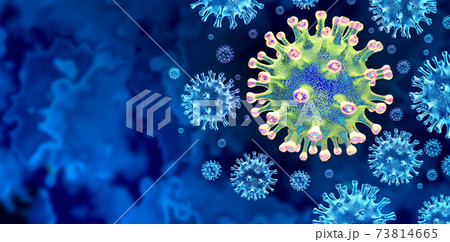 Coronavirus Variant Mutation 73814665
