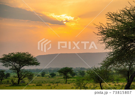 Spectacular Ngoro Ngoro sunset over the African bush Spectacular Ngoro Ngoro sunset over the African bush 73815807