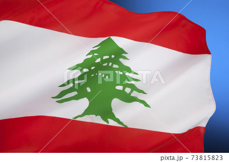 Flag of Lebanon 73815823