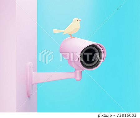 Pink CCTV security camera and yellow bird, 3d render 73816003