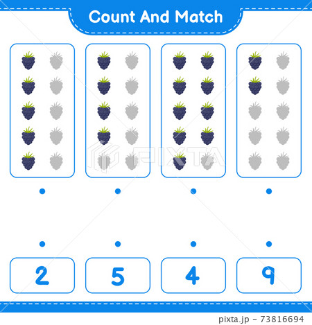 Count and match, count the number of Blackberries and match with right numbers. Educational children game, printable worksheet, vector illustration Count and match, count the number of Blackberries and match with right numbers. Educational children game, printable worksheet, vector illustration 73816694