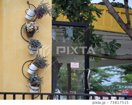 potted plants potted plants 73817515