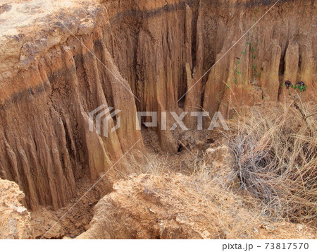 Lalu Park in Sakaeo province, Thailand, due to soil erosion has produced stranges shapes 73817570