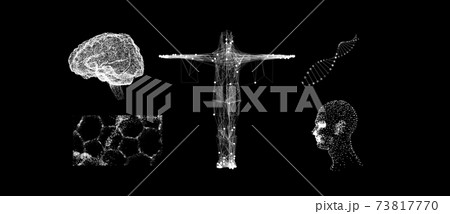 グラフィックデザイン 73817770