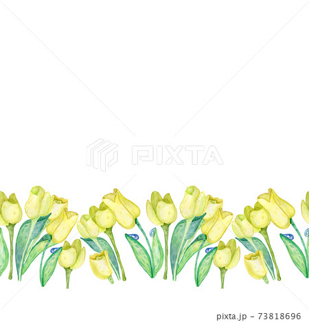 Flower Borders From Tulips And Narcissuses, Isolated On White Background, Illustration Flower Borders From Tulips And Narcissuses, Isolated On White Background, Illustration 73818696