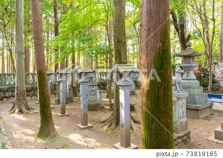 [愛知県]　豊川稲荷 73819165