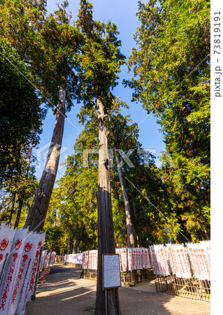 [愛知県]　豊川稲荷 73819191