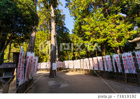 [愛知県]　豊川稲荷 73819192