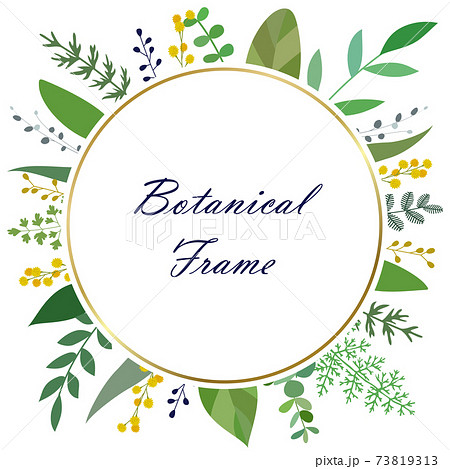 花や葉などボタニカルフレームのイラスト素材 ベクター 白背景 切り抜き のイラスト素材