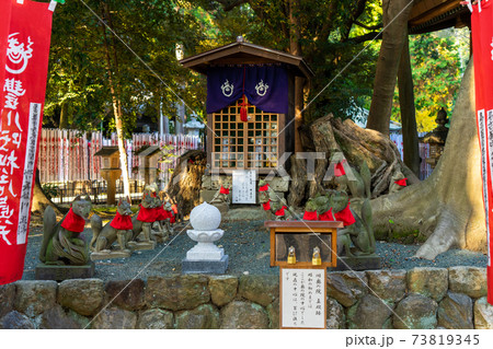 [愛知県]　豊川稲荷 73819345