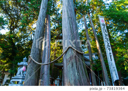 [愛知県]　豊川稲荷 73819364
