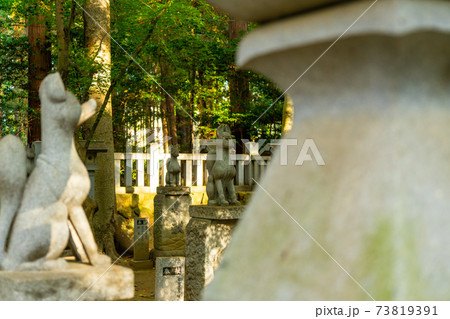 [愛知県]　豊川稲荷 73819391