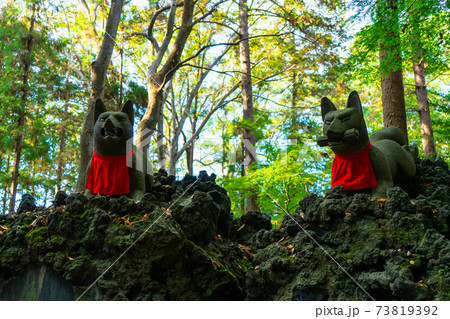 [愛知県]　豊川稲荷 73819392