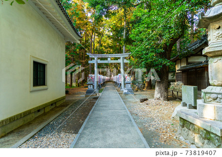 [愛知県]　豊川稲荷 73819407