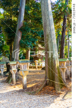 [愛知県]　豊川稲荷 73819448