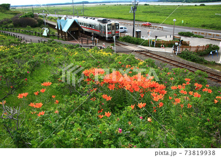 小清水原生花園 73819938
