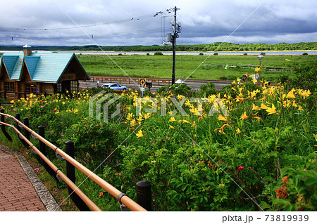 小清水原生花園 73819939