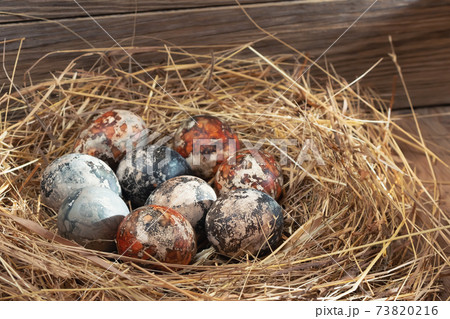 Easter composition - multicolored marble Easter eggs painted with natural dyes in a nest of hay Easter composition - multicolored marble Easter eggs painted with natural dyes in a nest of hay 73820216