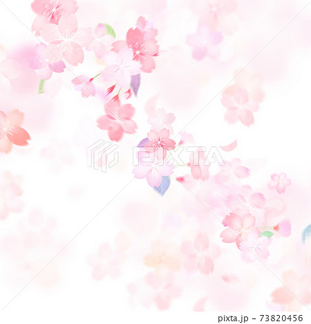 桜の背景 - 複数のバリエーションがあります 桜の背景 - 複数のバリエーションがあります 73820456