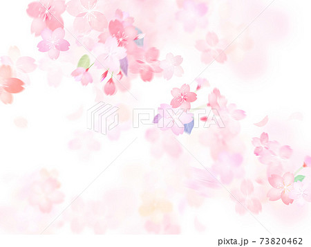 桜の背景 - 複数のバリエーションがあります 桜の背景 - 複数のバリエーションがあります 73820462