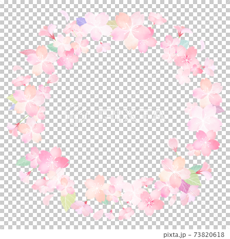 桜の素材 - 複数のバリエーションがあります 73820618