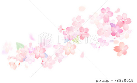 桜の素材 - 複数のバリエーションがあります 桜の素材 - 複数のバリエーションがあります 73820619