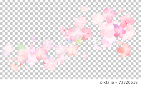 桜の素材 - 複数のバリエーションがあります 桜の素材 - 複数のバリエーションがあります 73820619
