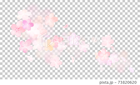 桜の素材 - 複数のバリエーションがあります 73820620